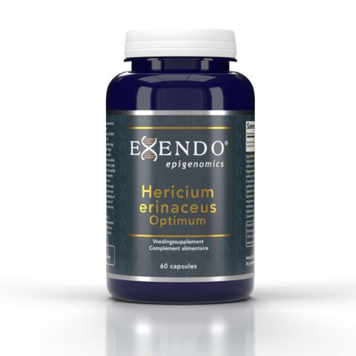 pot Exendo Hericium erinaceus optimum Pruikenzwam