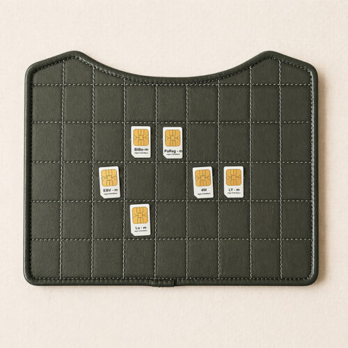 Etui vegan voor het opbergen van 45 chipkaarten