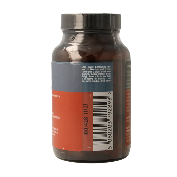 Terranova Chaga 500 mg – biologisch full-spectrum chaga-paddenstoelenpreparaat