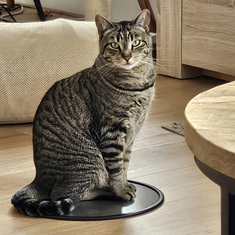 AA Energetische Plaat QNL – 30 cm - enkel - Afbeelding 4