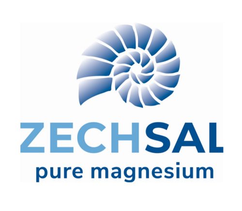 Zechsal logo