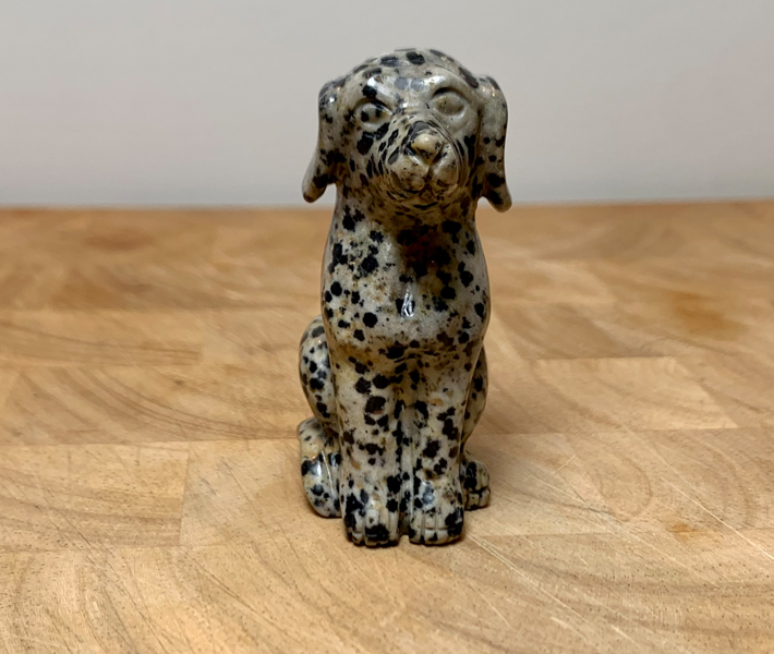 Hond Dalmatiërjaspis edelsteen