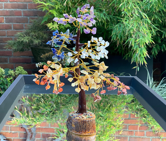 Chakra boompje edelstenen