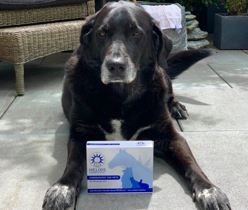 Helios Homeopathische set voor dieren