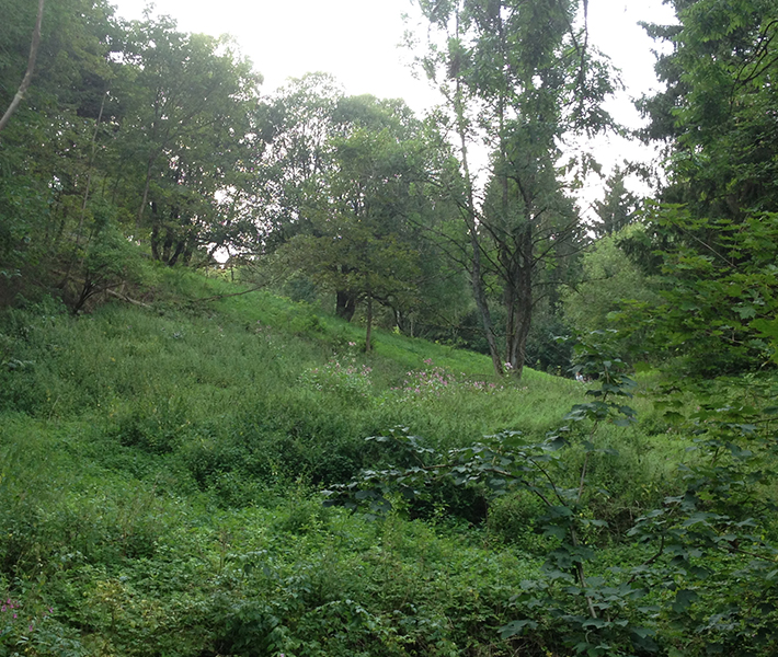 De Groene Linde, Altai, Spray