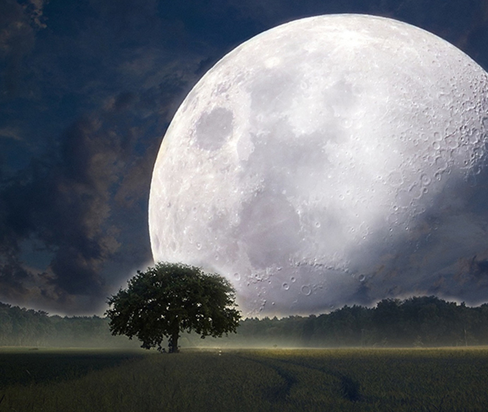 De Groene Linde, Bedtime Smudge sfeerplaatje met de volle maan