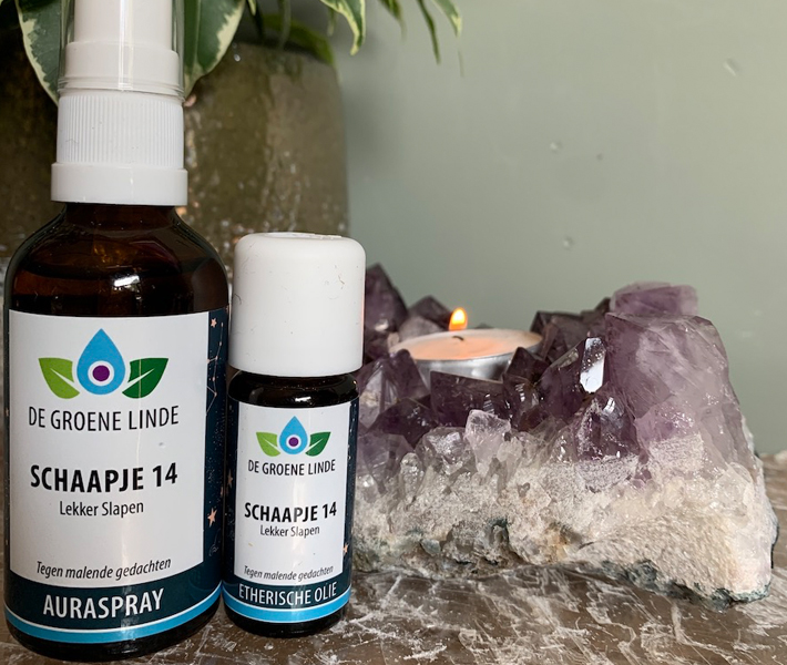 De Groene Linde - Schaapje 14