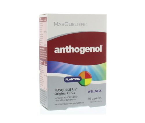 Masqueliers Anthogenol - 60 capsules