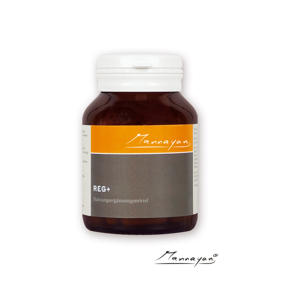 Mannayan REG+ 60 capsules - N-acetyl L-carnitine alfa-liponzuur NAC ginkgo biloba Q10 rozemarijnextract vegan glutenvrij candida-vrij