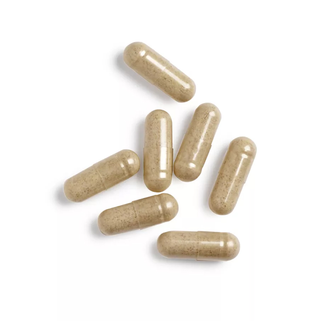 Biotics Floracare XL 60 vegicaps – synbiotica met 7 bacteriestammen en 3 prebiotica, 20 miljard KVE per capsule van Biotics Research