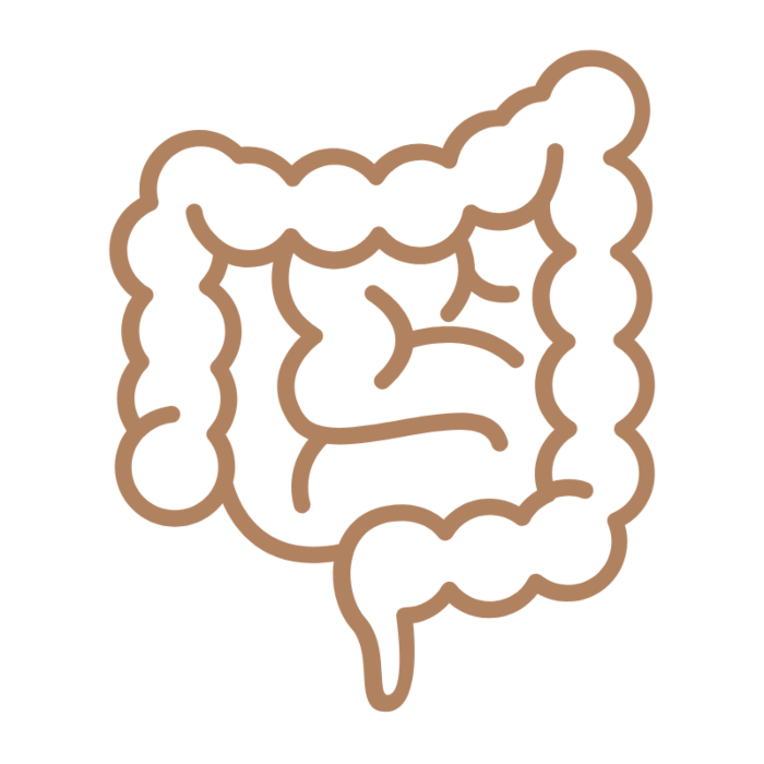 Nutriphyt Pediaperm 60 zakjes - kinderen spijsvertering slijmvliezen kurkuma berberis zoethout venkel paardenbloem lactase lactobacillus bifidobacterium vitamine A