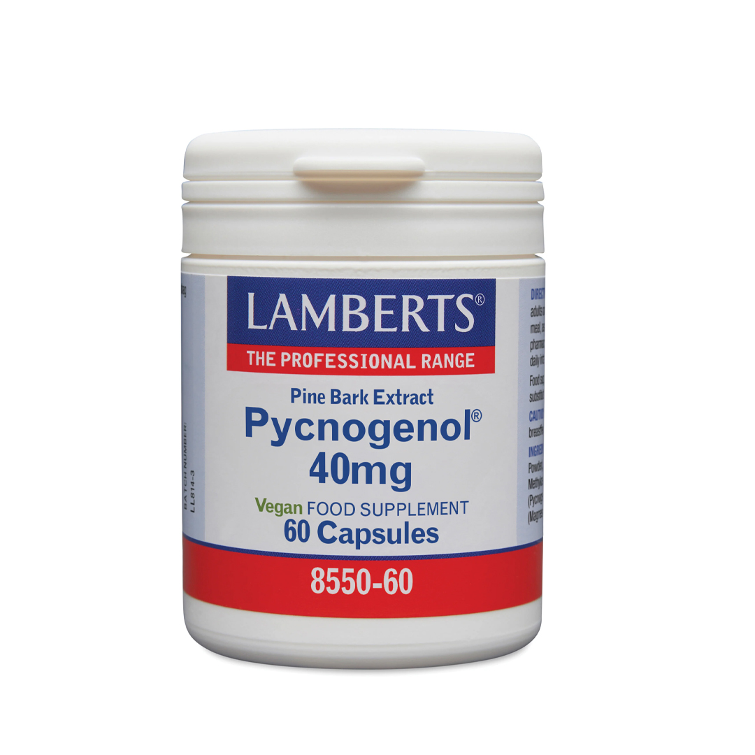 Lamberts Pycnogenol Pijnboombast Extract 40 mg 60 vegetarische capsules – proanthocyanidinen uit pijnboomschors, veganistisch