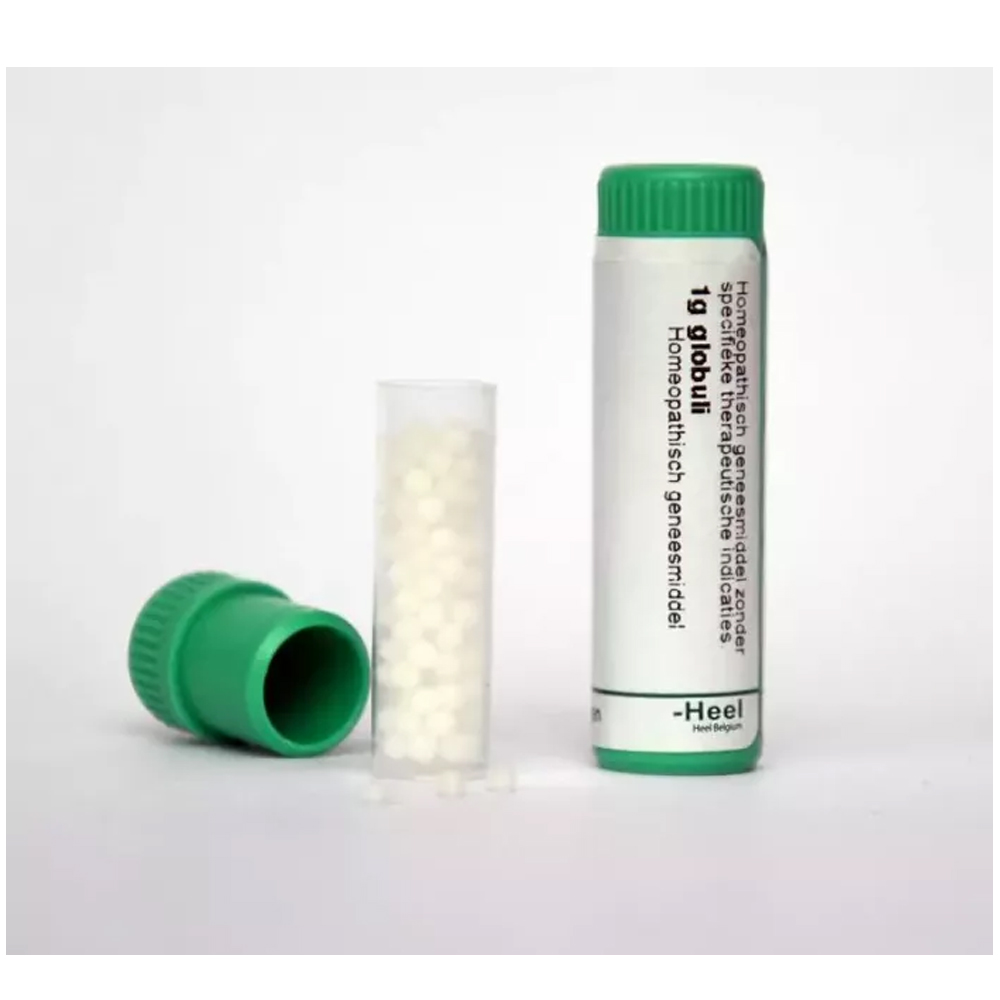 Homeoden Heel Calendula officinalis 200K globuletube 1 gram – homeopathisch geneesmiddel eenmalige dosis hoge Korsakovpotentie saccharose Heel Belgium