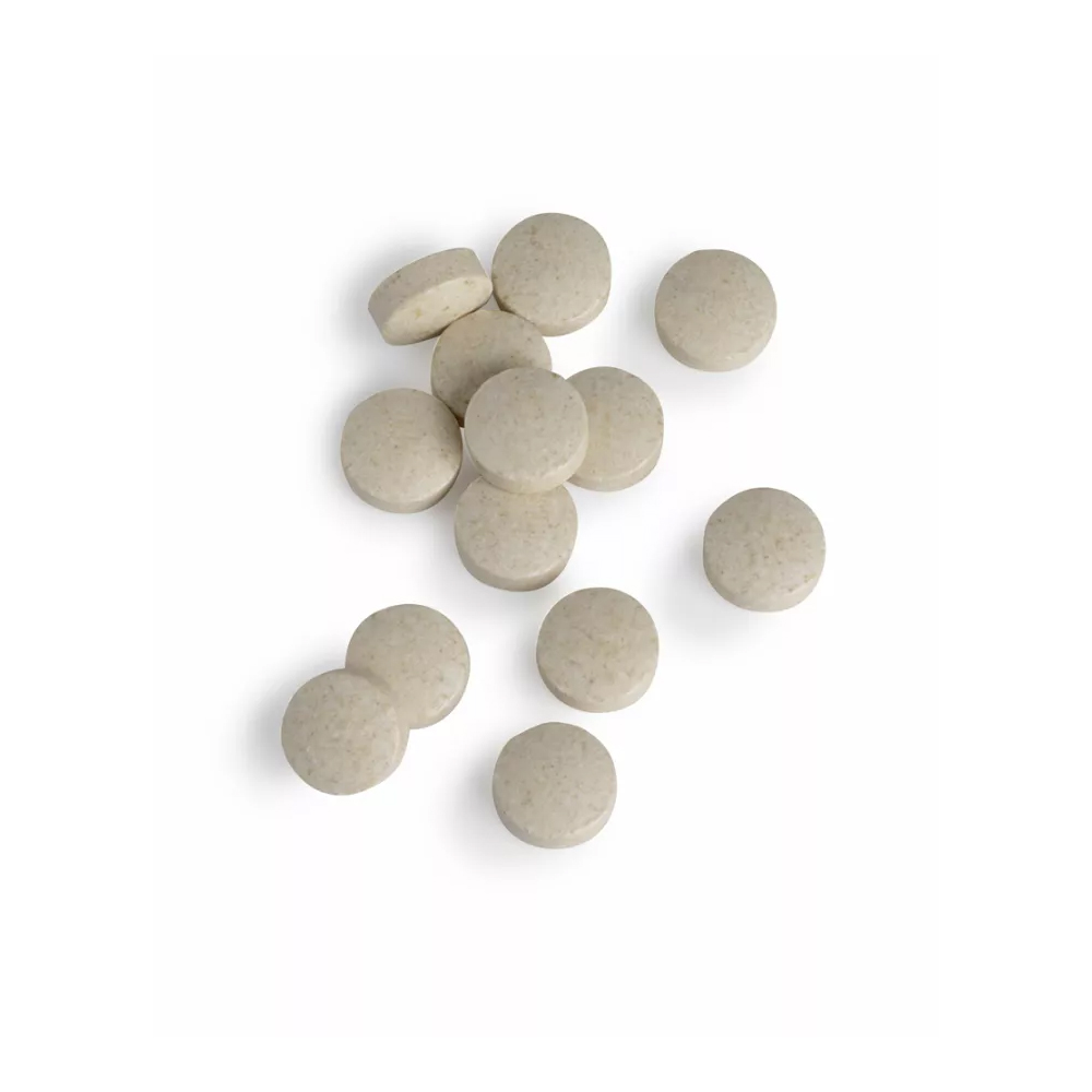Tabletten Intenzyme Forte 500 tabletten – systemisch enzymcomplex van Biotics Research