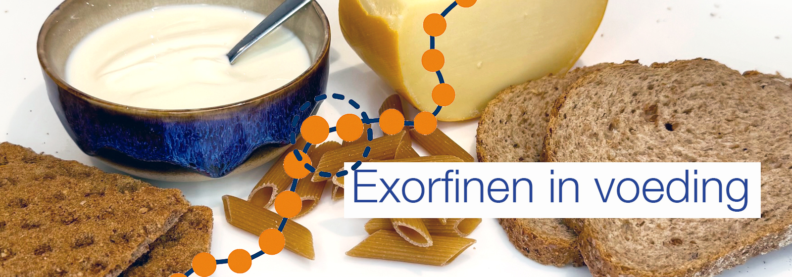 Voedingsmiddelen zoals brood, crackers en kaas die natuurlijke exorfinen zoals gluten- en caseïnepeptiden kunnen bevatten.