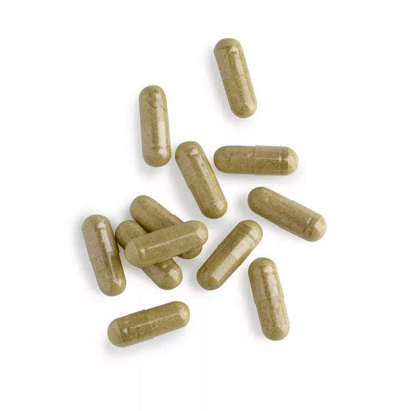 Protect Plus van Biotics Research – antioxidantencomplex met vitamine C, E, selenium en groene thee-extract, 90 capsules
