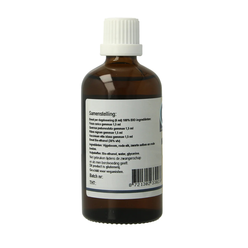 GO Intestino bio 100 ml - gemmotherapie complex vijgeboom rode eik zwarte aalbes rode bosbes biologisch bio-ethanol 36% druppels