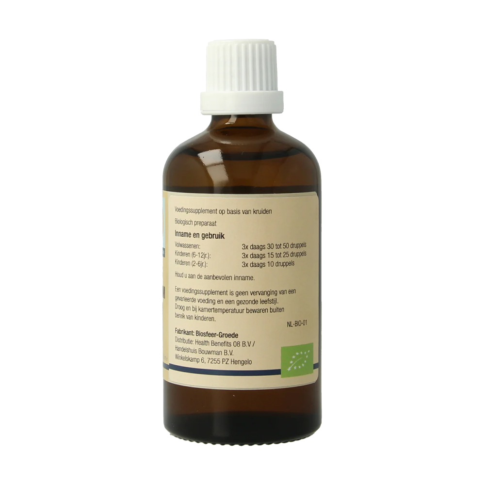 GO Ribes nigrum bio 100 ml - zwarte bes gemmotherapie biologisch knopextract bio-ethanol glycerine druppels volwassenen kinderen