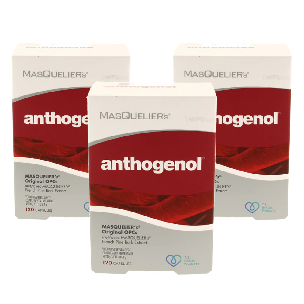 Masqueliers Anthogenol 3-pak - 3x 120 capsules, voedingssupplement met OPC's uit druiven en Franse pijnboomschors