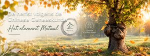 Herfstbladeren die van een boom vallen als symbool voor het element Metaal en loslaten in de Chinese geneeskunde