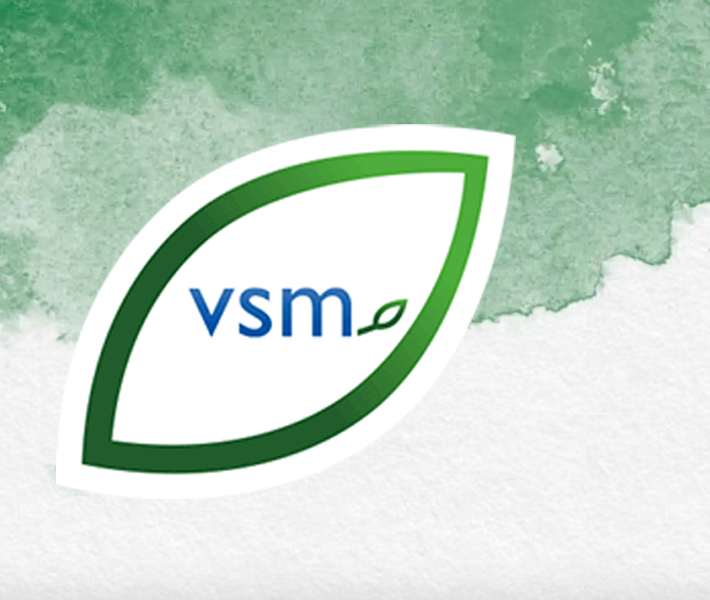 VSM logo