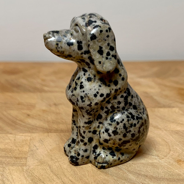 Hond Dalmatiërjaspis edelsteen