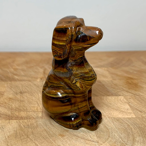 Hond Tijgeroog edelsteen