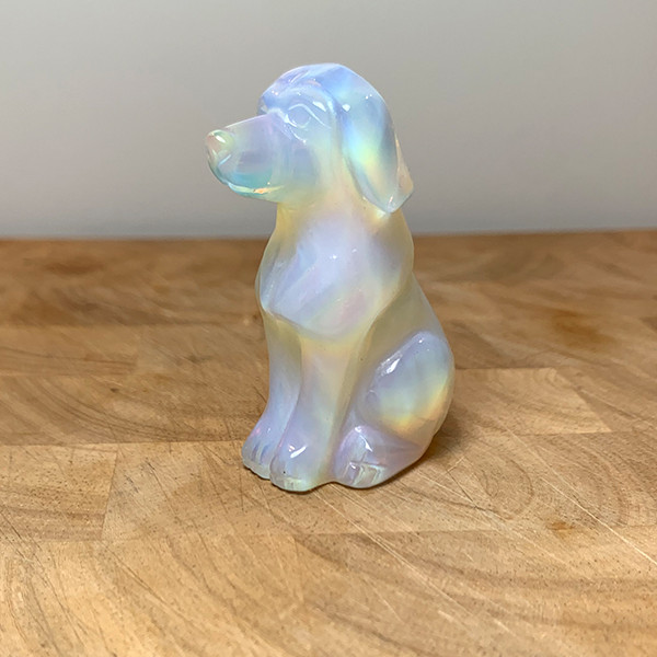Hond Opaliet edelsteen