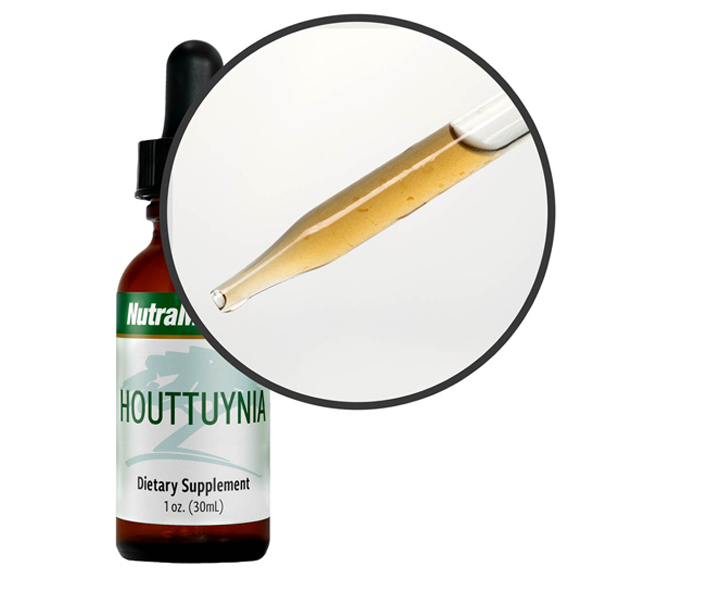 Nutramedix Houttuynia