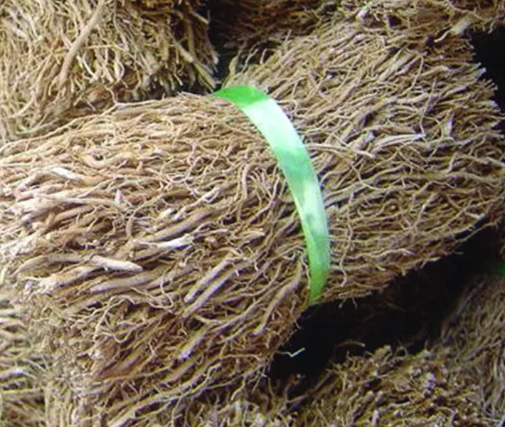 De Groene Linde, Vetiver etherische olie 10 ml