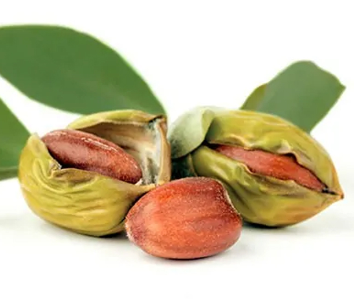 Naturapharma Jojoba olie